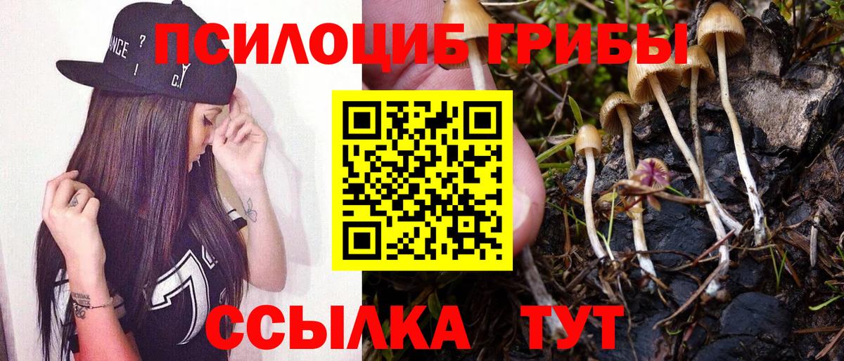 Артём  Галлюциногенные грибы Cubensis  Вход с VPN  Псилоцибиновые грибы мицелий 
